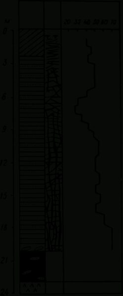 Schemes & Graphs - Fox Rockett Studio
